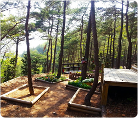 장지/납골당/수목장 안내